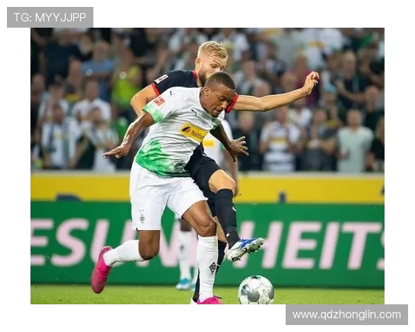 女生头像为德甲球队标识的社媒趋势观察 女生头像为德甲球队标识的社媒趋势观察